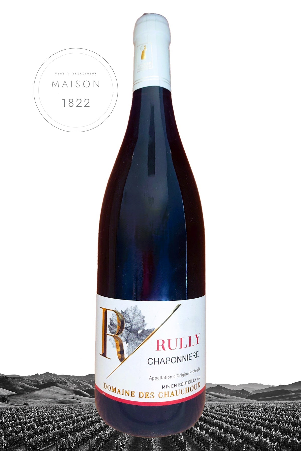 CHAPONNIÈRE Rouge 2023