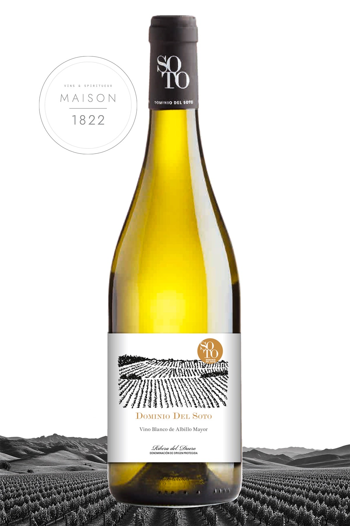 Ribera del Duero Albillo Mayor Blanc 2020